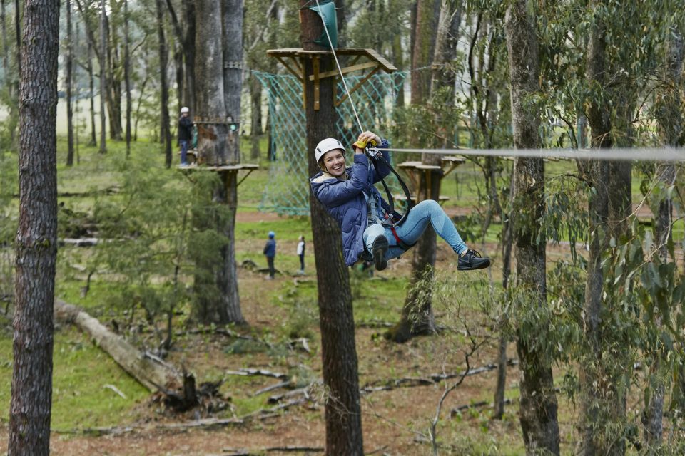 Busselton: Forest Adventure With Zip Lining and Rope Course - Key Points