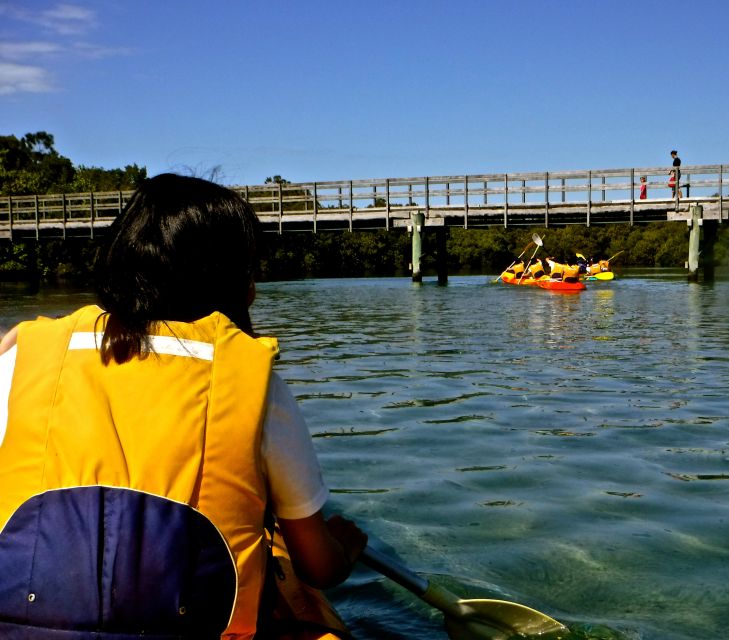 Byron Bay: Brunswick River Scenic Kayak Tour - Key Points