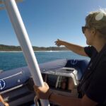 byron bay cruise with dolphins tour Byron Bay: Cruise With Dolphins Tour