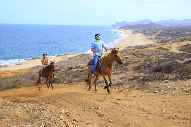 Cabo Horseback Riding on Pacific Beach and Desert - Key Points