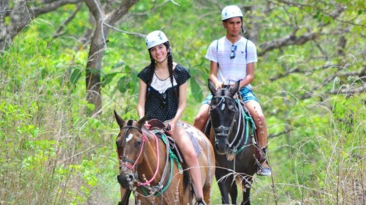 Cádiz Country Side: Ride an Andalusian Horse - Key Points