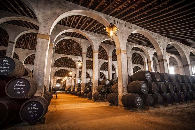 Cadiz Shore Excursion: Jerez & Cadiz Easy Accessible Private Tour & Wine Cellars - Tour Highlights