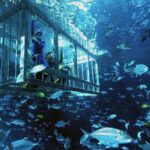 cage snorkeling dubai mall aquarium Cage Snorkeling Dubai Mall Aquarium