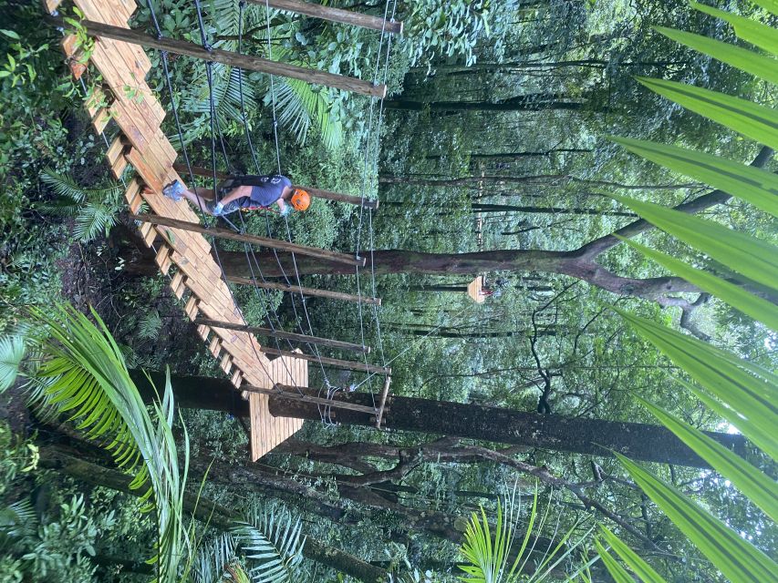 Cairns: Daintree Rainforest Canopy Ziplining Tour - Key Points
