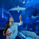 cairns guided twilight tour of the aquarium Cairns: Guided Twilight Tour of the Aquarium