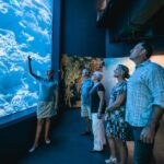 cairns night at the aquarium guided tour 2 course dinner Cairns: Night at the Aquarium Guided Tour & 2 Course Dinner