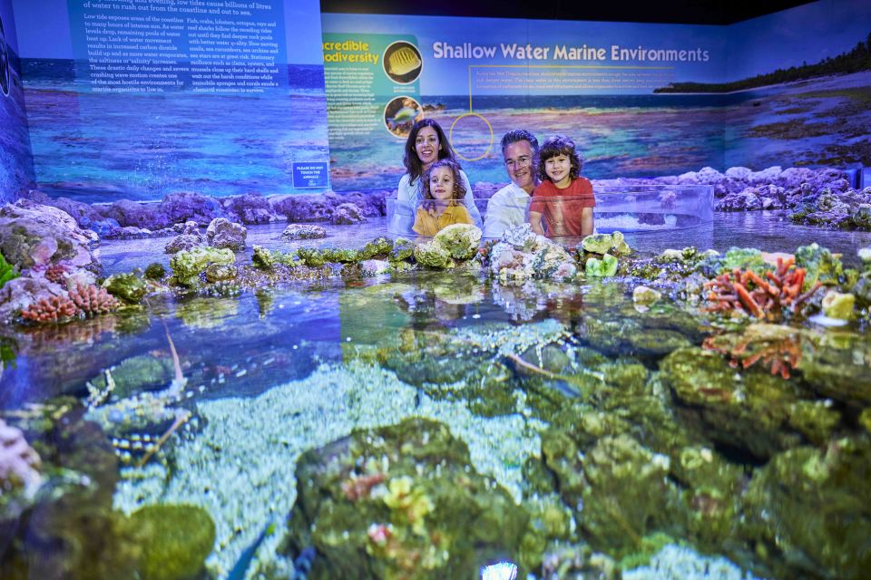 Cairns: Pre-Opening Guided Tour of the Cairns Aquarium - Key Points