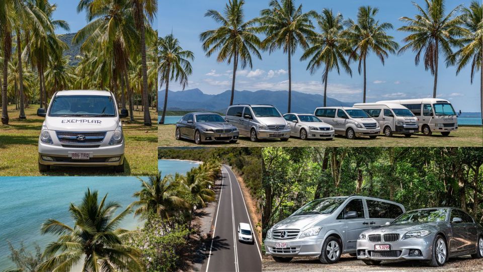 Cairns: Shared Airport Transfer To/From City and Beaches - Key Points