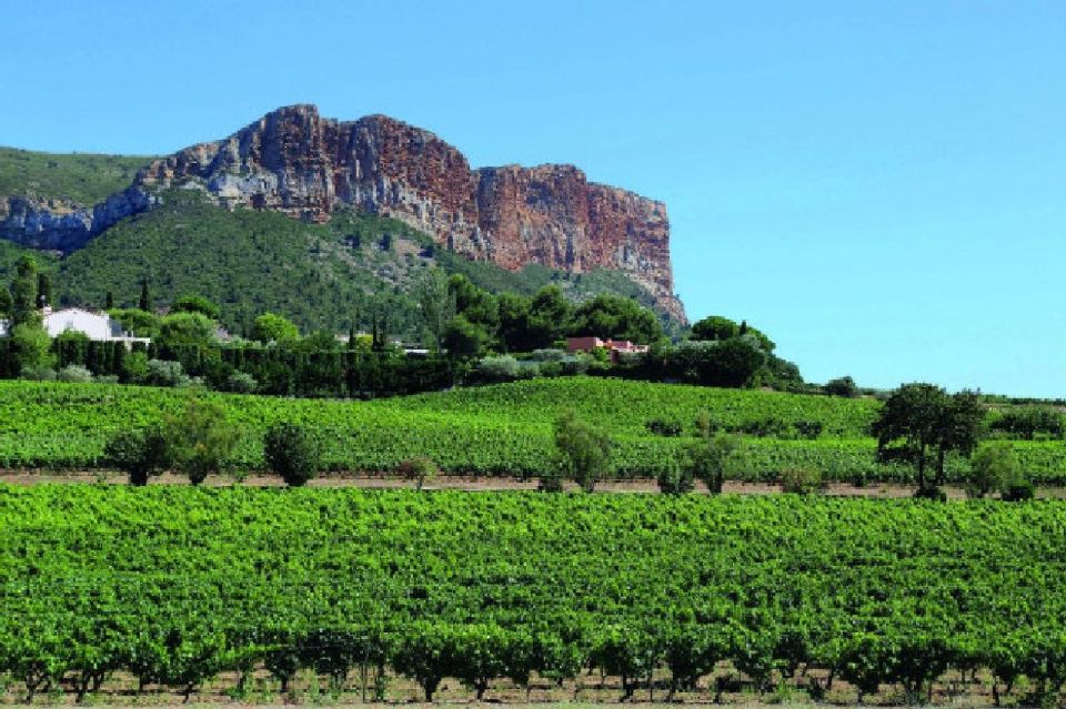 Calanques of Cassis, Aix-en-Provence & Wine Tasting Day Tour - Key Points