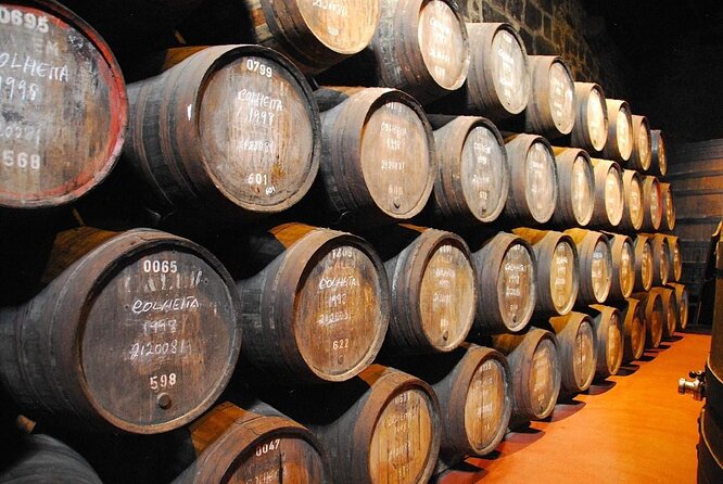 Cálem Cellar: Visit And Wine Tasting Tour - Tour Highlights