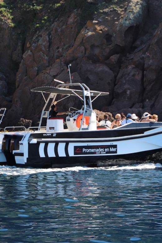 calvi scandola and girolata 6 hour boat tour Calvi: Scandola and Girolata 6-Hour Boat Tour