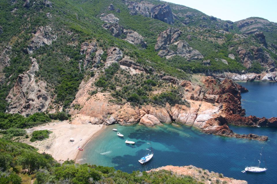 Calvi to Scandola: 4-Hour Boat Tour - Key Points