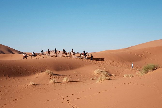 Camel Riding In Dubai Desert - Key Points