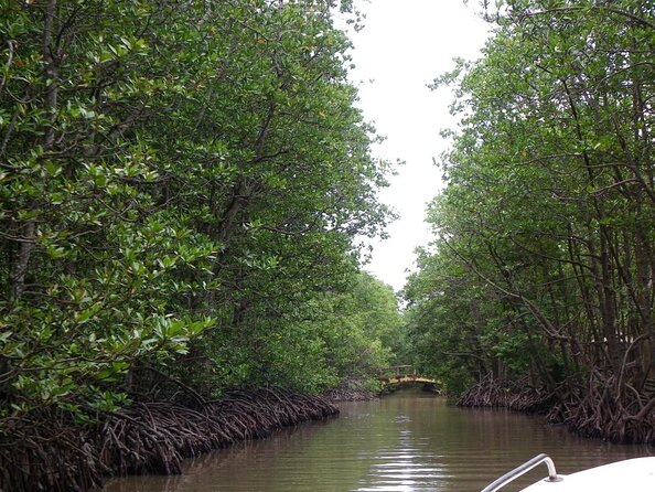 Can Gio Mangrove Forest Biosphere Private Tour  - Ho Chi Minh City - Key Points