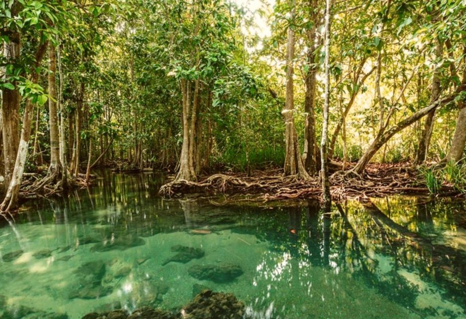 Can Gio Mangrove Forest Private Day Trip From Ho Chi Minh - Key Points