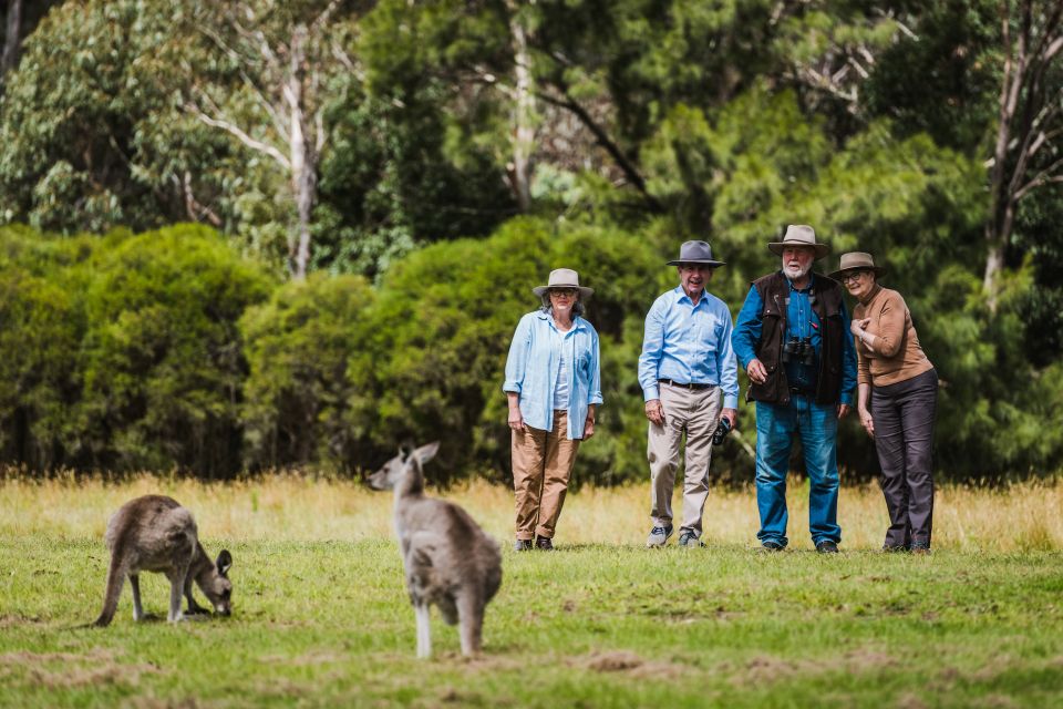 canberra best of wildlife tour Canberra: Best of Wildlife Tour