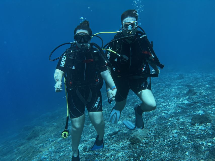 Candelaria : Try Diving for the First Time - Key Points