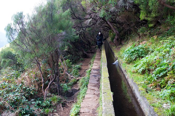 Canico Small-Group Hiking Tour to Rabacal  - Funchal - Tour Pricing and Variations