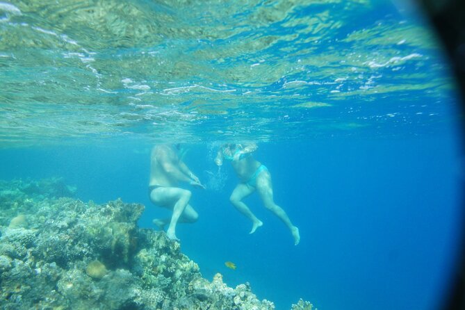 Canyon and Blue Hole Snorkeling Trip With Lunch From Dahab - Itinerary Highlights