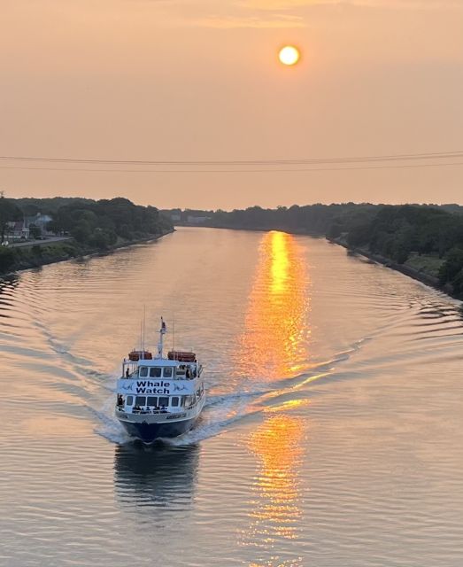 Cape May: Sunset Dolphin Watching Cruise With Food - Key Points