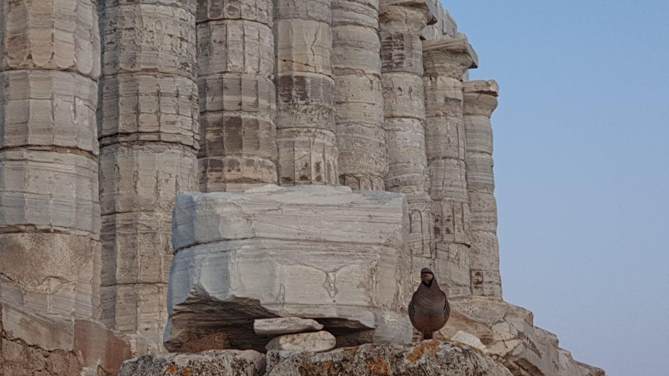 cape souniotemple of poseidon private trip from athens Cape Sounio:Temple of Poseidon Private Trip From Athens