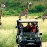 cape town aquila safari game reserve overnight tour Cape Town , Aquila Safari Game Reserve Overnight Tour