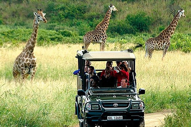 Cape Town , Aquila Safari Game Reserve Overnight Tour - Key Points