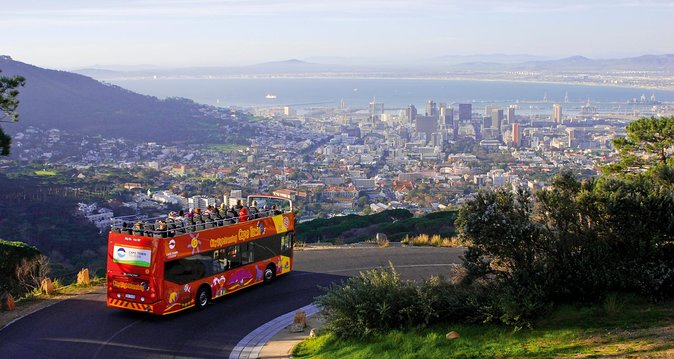 Cape Town Hop-On Hop-Off Bus Tour With Optional Cruise - Key Points