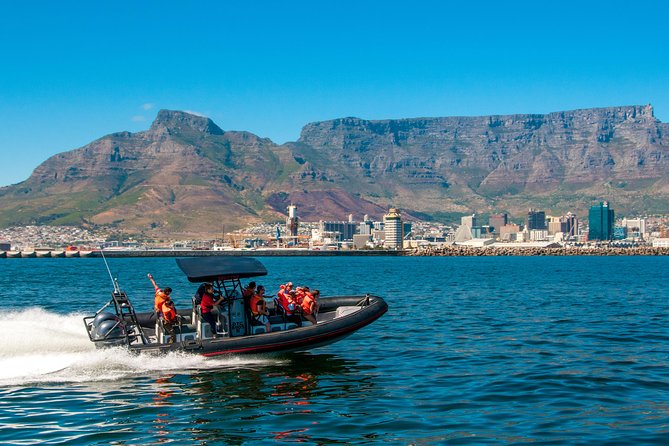Cape Town Ocean Safari Boat Tour - Key Points