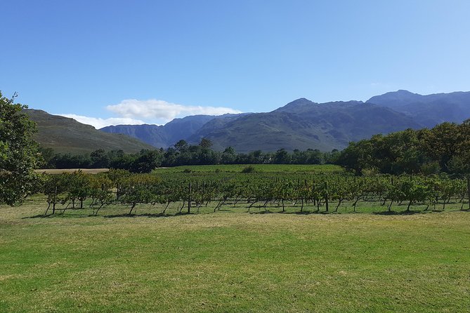 Cape Winelands and Wine Tasting Full Day Tour - Itinerary Highlights