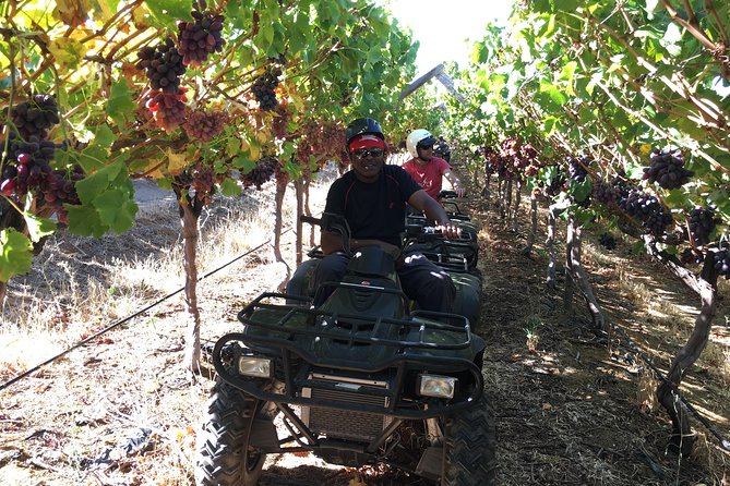 Cape Winelands: Quad Bike Tour  - Stellenbosch - Key Points