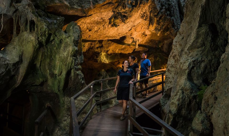 Capricorn Caves, Australia: 45-Minute Cathedral Cave Tour - Key Points
