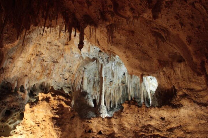 Carlsbad Caverns National Park Walking Audio Tour - Key Points