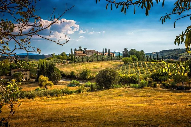 Carmignano Half Day Tour From Florence: the First Cabernet Sauvignon in Tuscany - Key Points