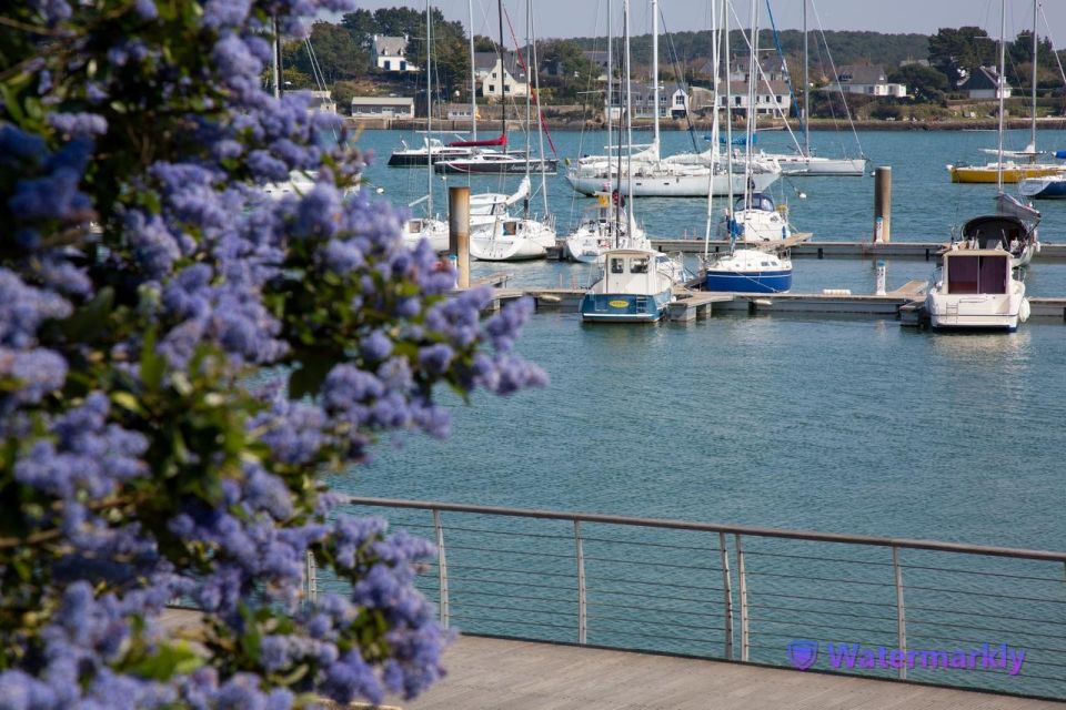 Carnac Tour: Megalithic Marvels and La Trinite Sur Mer - Key Points