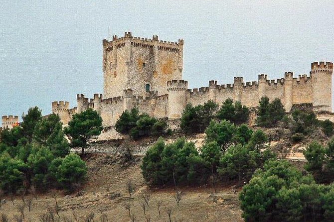 Castles, Wines in Ribera Del Duero and Segovia From Madrid - Overview of Ribera Del Duero and Segovia