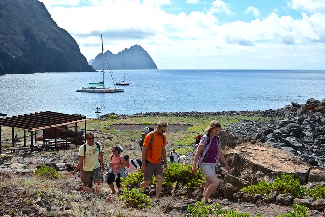 Catamaran Day Cruise to Desertas Islands From Funchal - Key Points