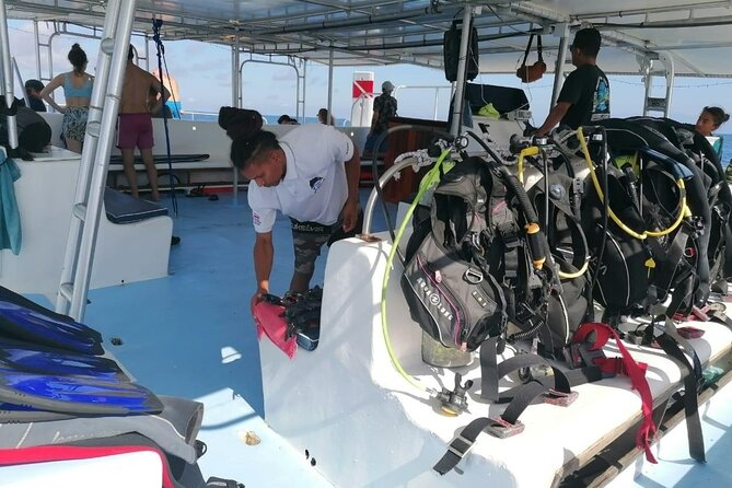 Catamaran Scuba Diving at Caño Island From Drake Bay - Tour Highlights