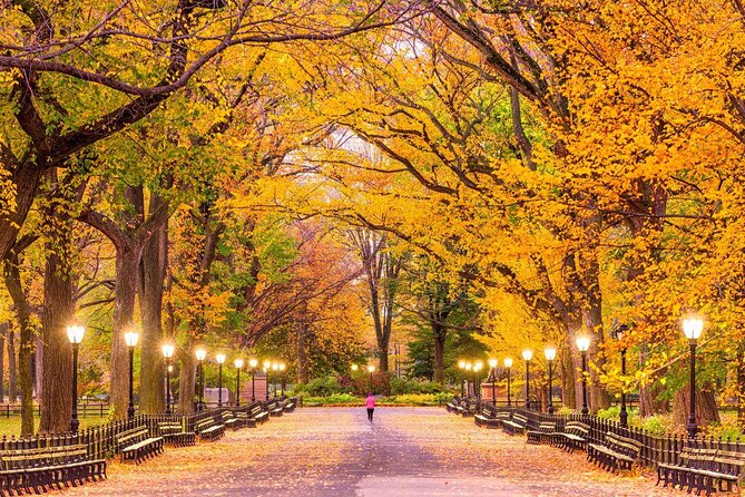 Central Park Guided Tour - Key Points