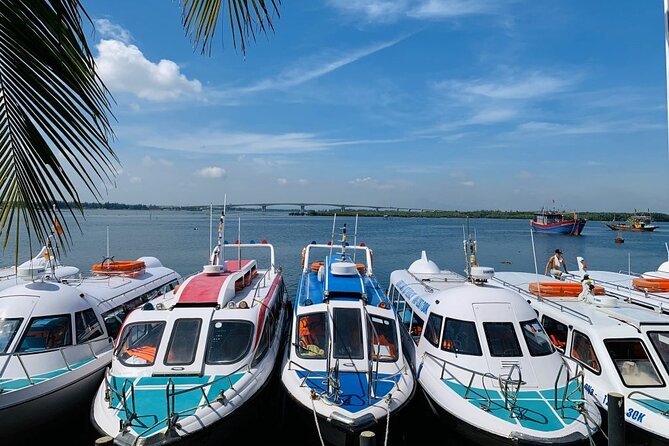 Cham Island Trip by Speed Boat Including Snorkeling From Hoi an or Da Nang - Key Points