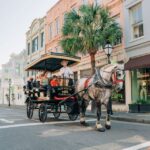 charleston historical downtown tour by horse drawn carriage Charleston: Historical Downtown Tour by Horse-drawn Carriage