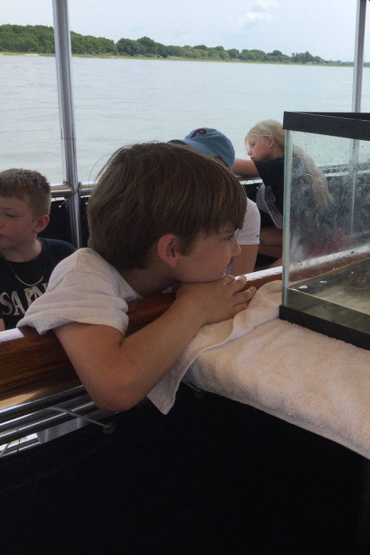 Charleston: Morris Island Nature Boat Tour With Naturalist - Key Points