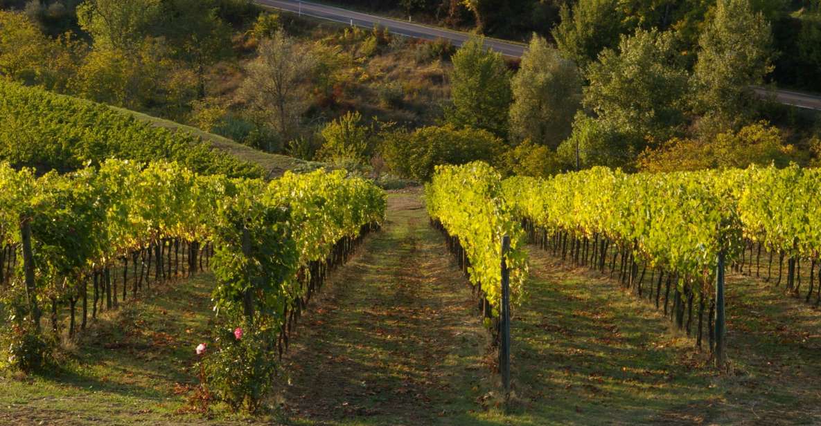 Chianti, Siena, S. Gimignano & Wine Tasting Private Tour - Key Points