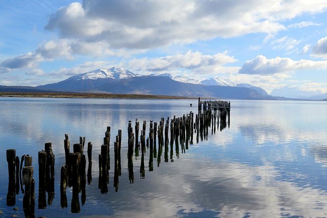 Chilean Patagonia: 4-Day Small-Group Tour  - Punta Arenas - Tour Details