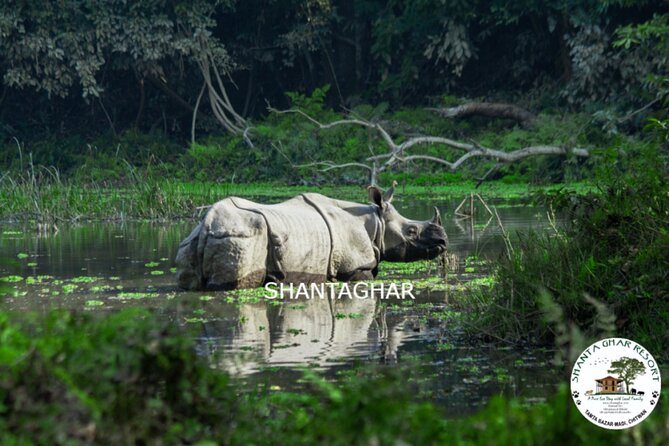 Chitwan National Park Pvt. Jeep Safari Untouched Side From Madi - Key Points