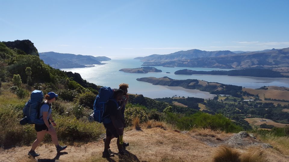 Christchurch: Packhorse Hut Guided Walk and Scenic Drive - Key Points