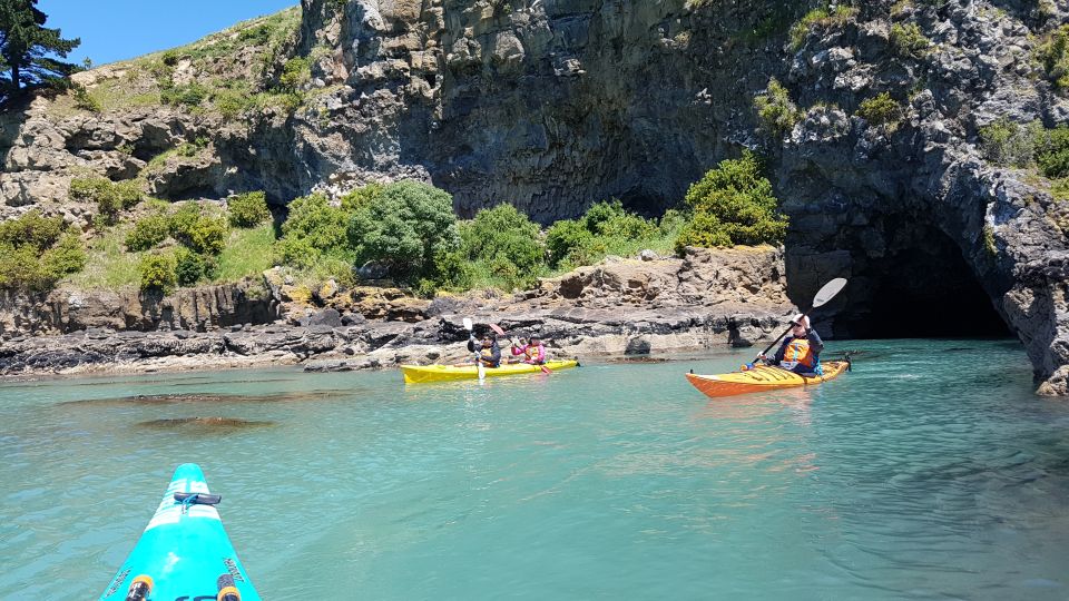 Christchurch: Sea Kayaking Tour of Lyttelton Harbour - Key Points