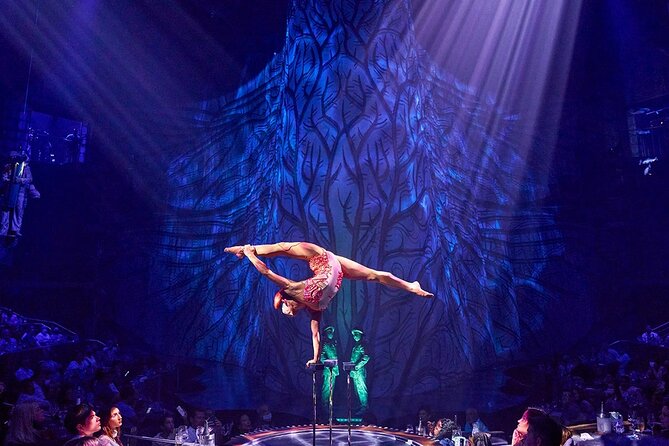 Cirque Du Soleil JOYA Performance From Playa Del Carmen  - Cancun - Key Points