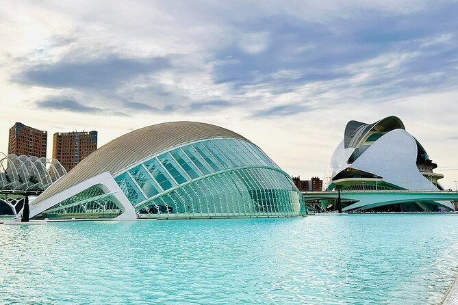 City of Arts & Sciences Tour With Rooftop Tapas & Wine - Key Points