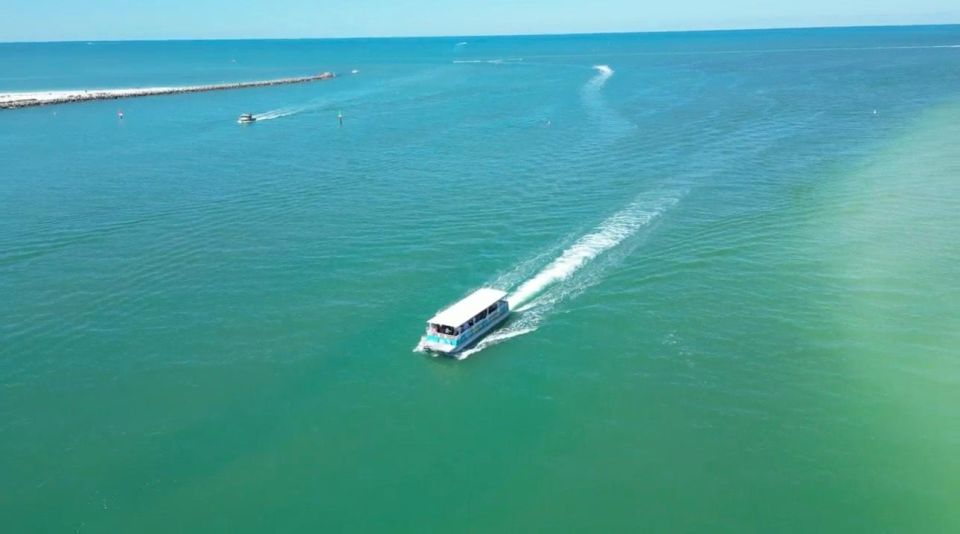 Clearwater Beach: Dolphin and Sandbar Boat Cruise - Key Points